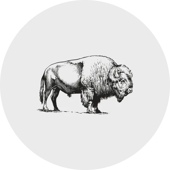 Iron Head Bison bison round image